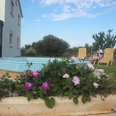 Apartments Zdravac Umag Exterior photo
